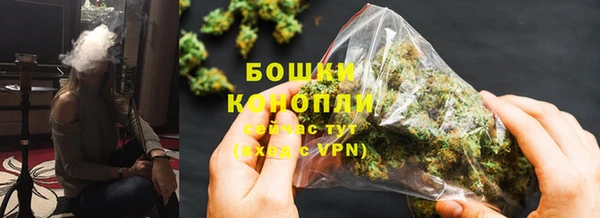 гидра Белокуриха