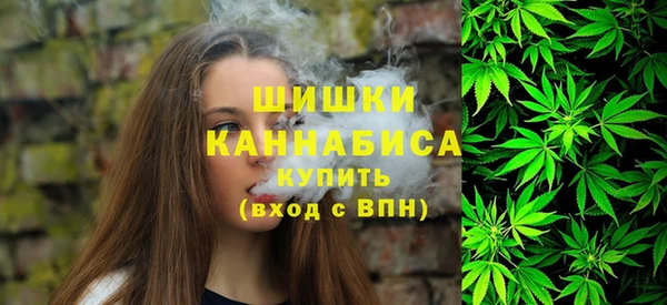 гидра Белокуриха