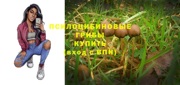 гидра Белокуриха