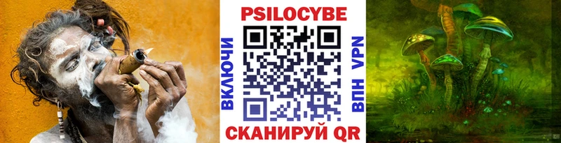 Псилоцибиновые грибы Magic Shrooms Поворино